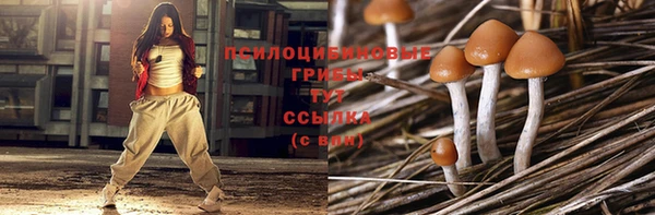 трава Ладушкин