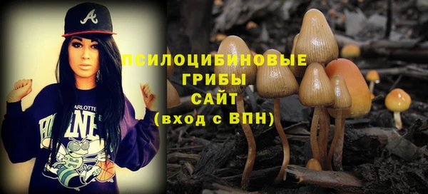 трава Ладушкин